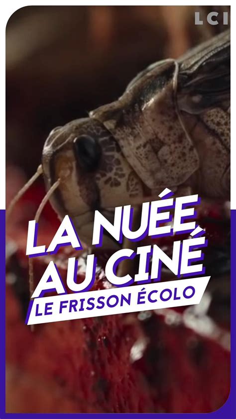 VIDEO LCI PLAY La Nuée au ciné le frisson écolo