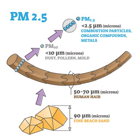 Everything You Need To Know About Particulate Matter Phenomenal Aire