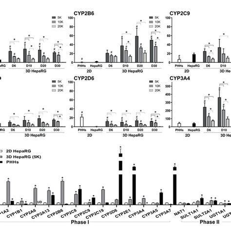 Cytochrome P450 Enzyme CYP450 Activity And Gene Expression Of Phase I