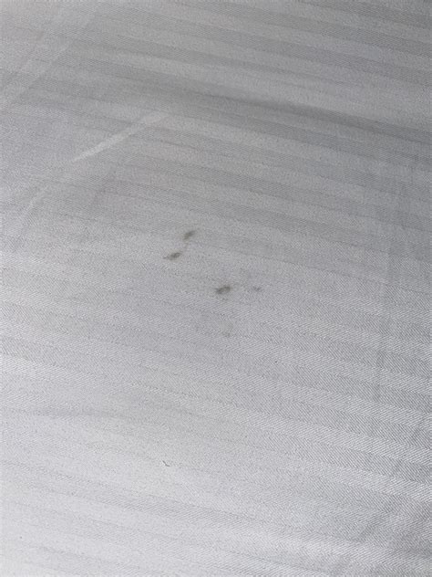 Bed Bug Signs In Hotel Room Rbedbugs