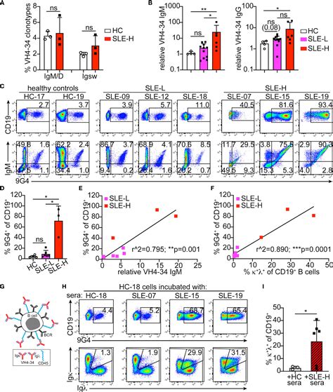 Frontiers Elevated Detection Of Dual Antibody B Cells Identifies