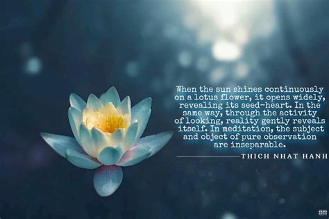 When The Sun Shines Continuously On A Lotus Flower It Opens Widely