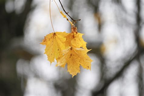 Ультрателеобъектив Tamron SP 150-600mm F/5-6,3 Di VC USD G2 с ...