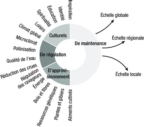 Services écosystémiques Dapprovisionnement De Régulation Culturels