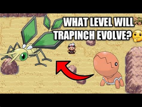 What Level Does Trapinch Evolve