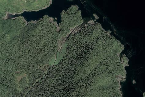 A Logging Loophole Is Clear Cutting The Tongass National Forest Grist