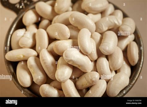 Dry White Kidney Beans Stock Photo Alamy