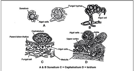 Exam Preparation Biology Study Material And Notes