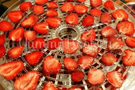 Чипсы из клубники - простой и вкусный рецепт с пошаговыми фото