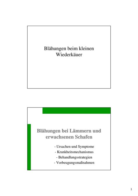 Blähungen beim kleinen Wiederkäuer - ALPINETGHEEP