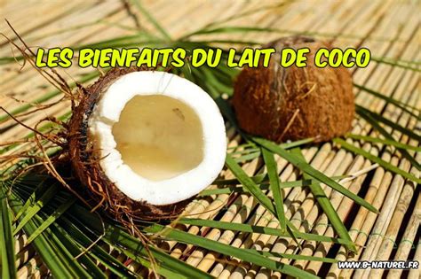 Les Bienfaits Du Lait De Coco B Naturel