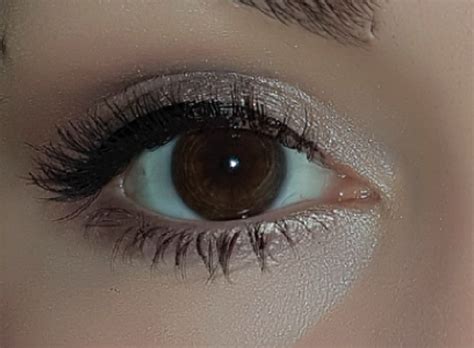 Urban Decay Naked Eyeshadow Palette Reviews Makeupalley