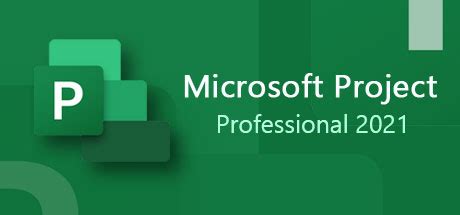 Buy Microsoft Project Professional Software Software Key Hrkgame