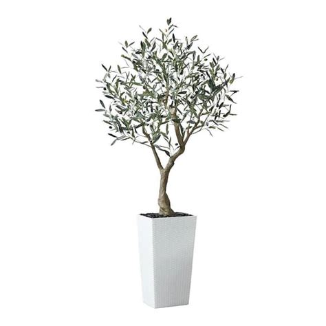 DR Planzen 6 Ft Artificial Olive Tree UV Resistant With White Tall