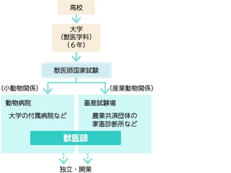 獣医師：キャリタス進学