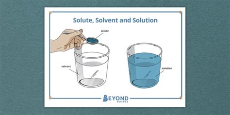 Solute, Solvent and Solution Display Poster (Teacher-Made)