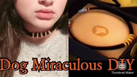 Dog Miraculous Diy Miraculous Ladybug Youtube