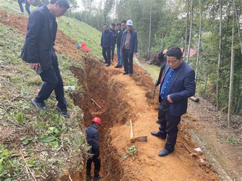 加强白蚁防治，筑牢水库防线 湖南建投水务设计院落实白蚁防治工作 民生 新湖南