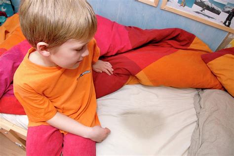 Bedwetting By Aj Photoscience Photo Library