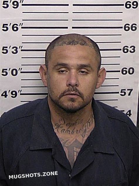 Morales Remigio Rocha Eddy County Mugshots Zone