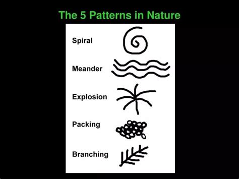 Ppt The 5 Patterns In Nature Powerpoint Presentation Id6702310