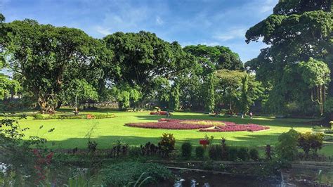 Sejukkan Mata, Hati, & Pikiran di Kebun Raya Bogor | Pikniek