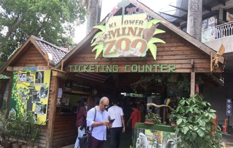 √ Kl Tower Mini Zoo Review Tarikan Harga Tiket 2024