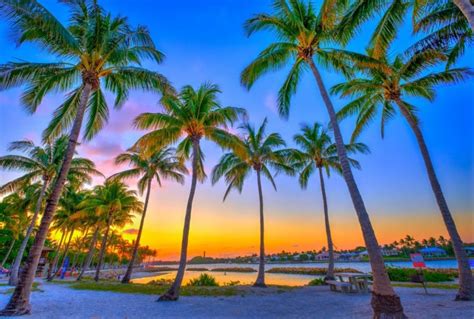 Discover The 12 Best Beaches in South Florida