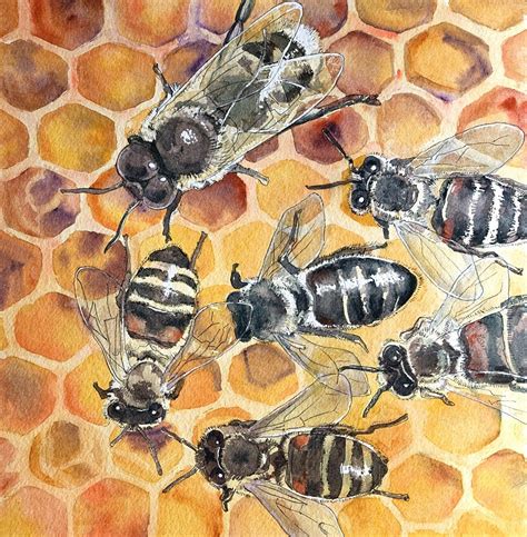 Honey Bee Original Watercolor Painting Bee Painting Original