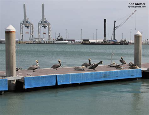 Super Sooty St X Flown Landed Spacex Falcon Booster Returns To