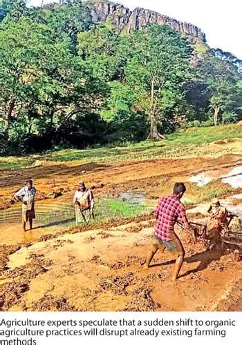 From Inorganic To Organic Is Sri Lanka Bracing For An Agriculture