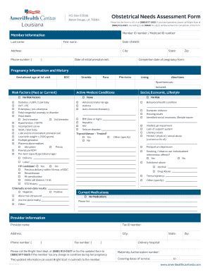 Fillable Online Obstetrical Needs Assessment Form Providers Forms