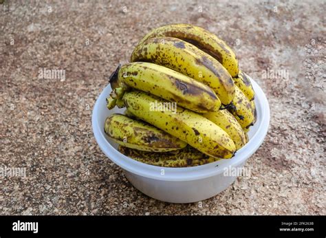 Lakatan hi-res stock photography and images - Alamy