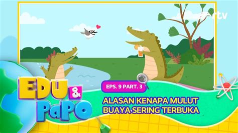 Edu Papo RTV Kenapa Mulut Buaya Sering Terbuka Eps 9 Part 3