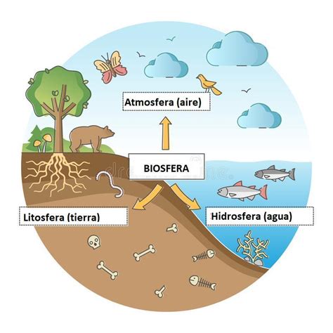 Ejemplificar A Traves De Un Grafico Lo Interaccion Entre La Hidrosfera Litosfera Y Atmosfera