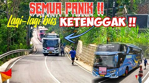 Nekat Uji Skil Driver Bus Pariwisata Hampir Ketenggak Youtube