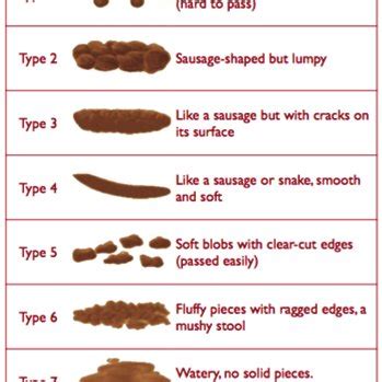 C. diff testing methods | Download Table