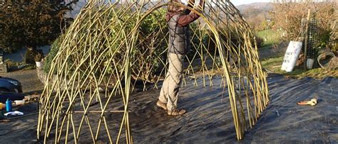 Living Willow Structures Woodmatters