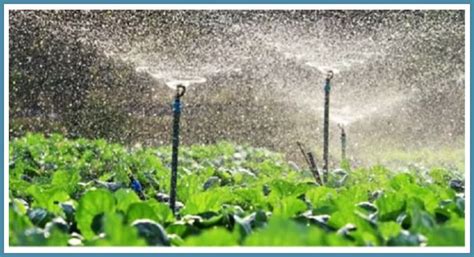 sprinkler irrigation system ionex agro technology