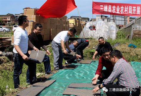 三穗县水稻全程机械化绿色高效技术实验示范育秧现场会在瓦寨举行全县