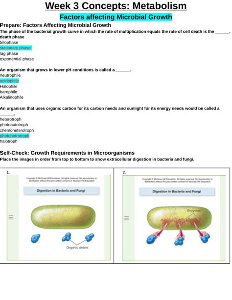 Bios Week Concepts Docx