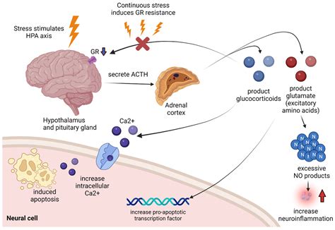 Biomedicines Free Full Text Pharmacological Treatment For