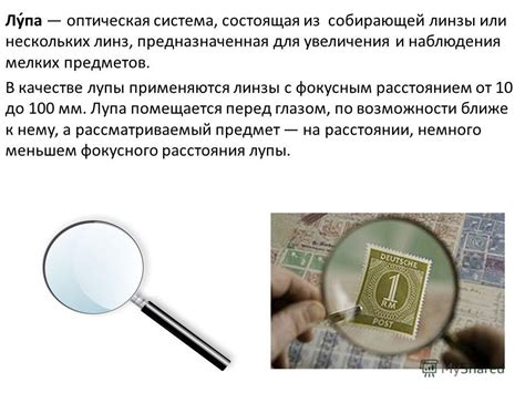 Презентация на тему: "Презентация по физике на тему: Лупа. Выполнил ...