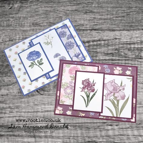 Stampin Up Uk 1 Demonstrator Sam Hammond Shop And Order Stampin Up Online Here 247