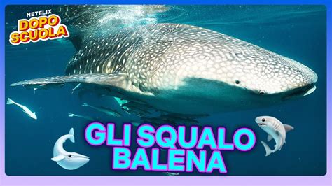 Il Pesce Pi Grande Lo Squalo Balena Il Nostro Pianeta Ii Netflix