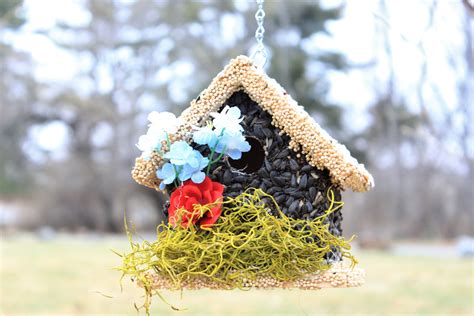 Edible Bird Feeder Light Roof Short Birdhouse Ediblebirdhouses