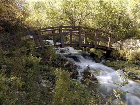 Wooden Bridge Over A Flowing Stream Photographic Print