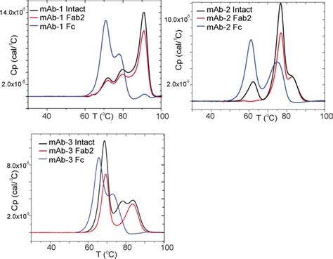 Temperature Induced Unfolding Of MAbs And MAb Fragments Differential