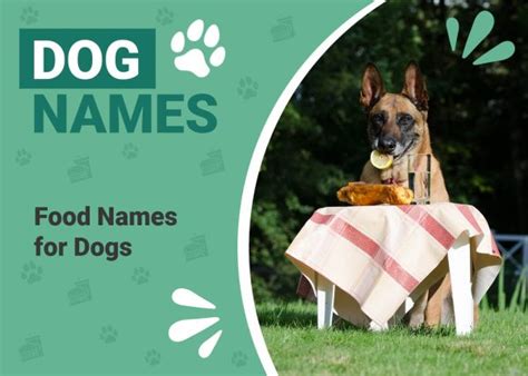 100+ Food Names for Dogs: Scrumptious Options for Your Pup – Dogster