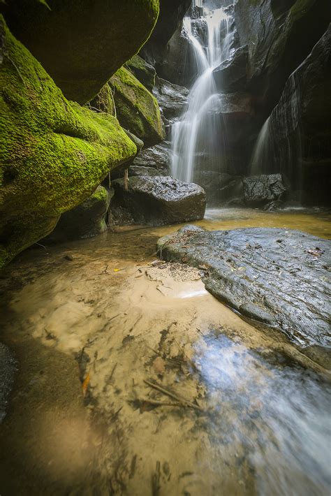 The Canyon — National Natural Landmark - Dismals Canyon